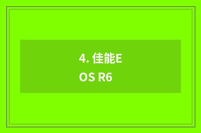 4. 佳能EOS R6