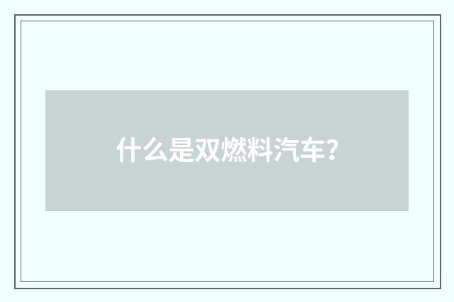 什么是双燃料汽车？