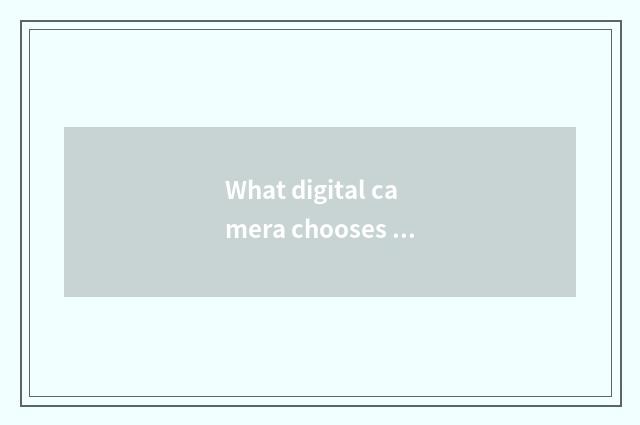What digital camera chooses is bit more crucial