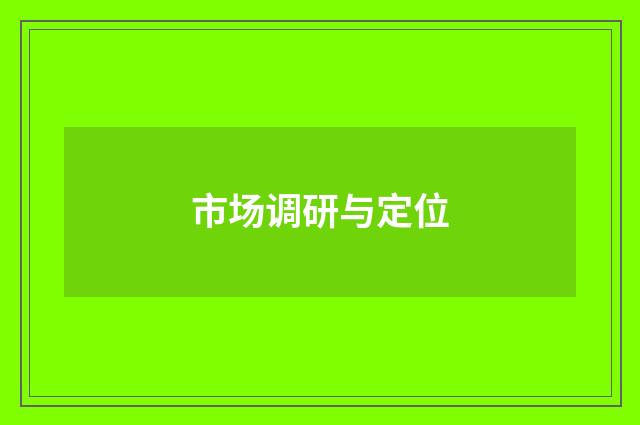市场调研与定位