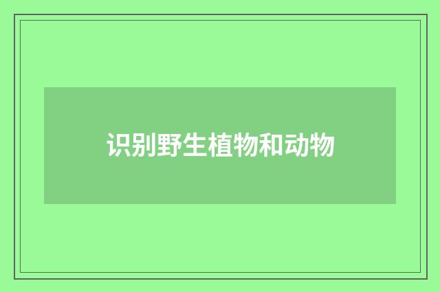 识别野生植物和动物