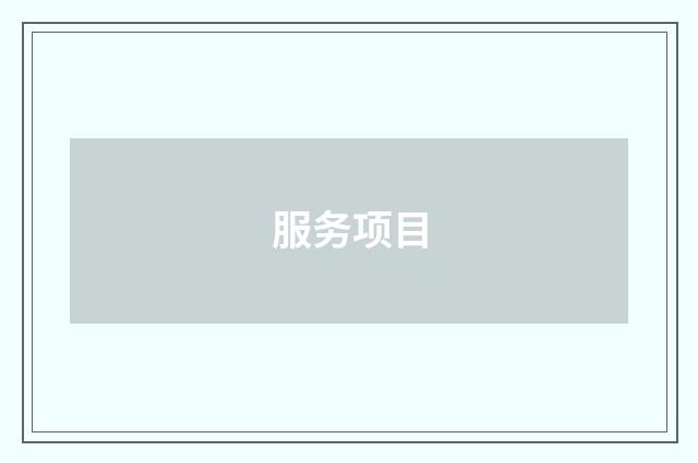 服务项目