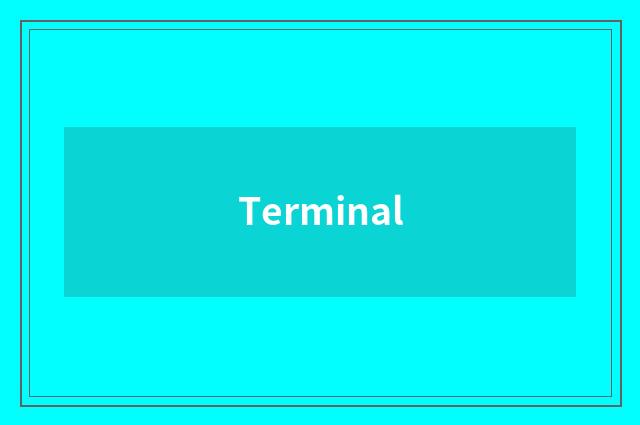 Terminal