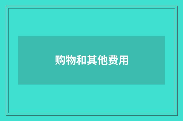 购物和其他费用