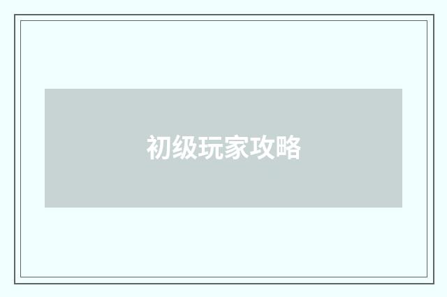 初级玩家攻略
