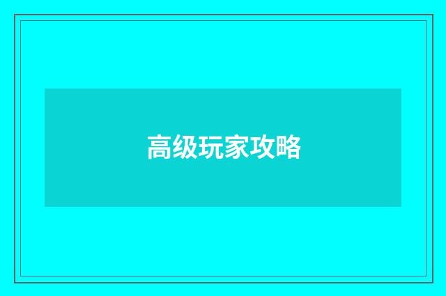 高级玩家攻略