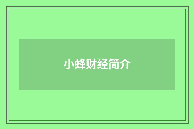 小蜂财经简介
