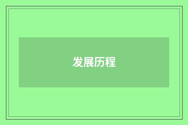 发展历程
