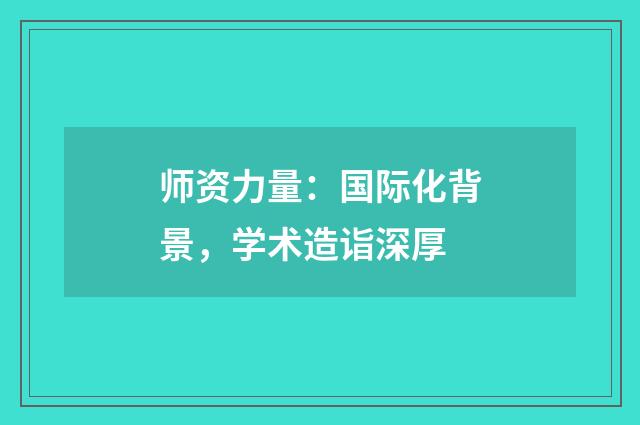 师资力量：国际化背景，学术造诣深厚