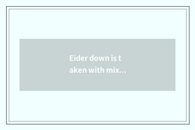 Eider down is taken with mix the fashionable glamour that build