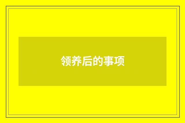 领养后的事项