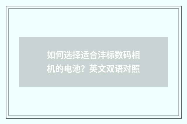 如何选择适合沣标数码相机的电池?英文双语对照