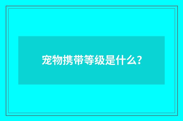 宠物携带等级是什么？