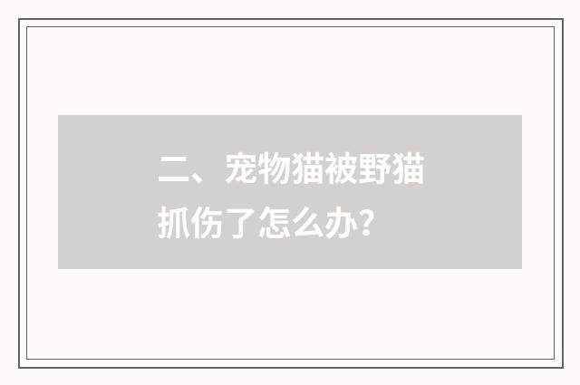 二、宠物猫被野猫抓伤了怎么办？