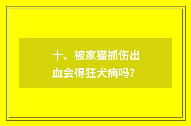 十、被家猫抓伤出血会得狂犬病吗?