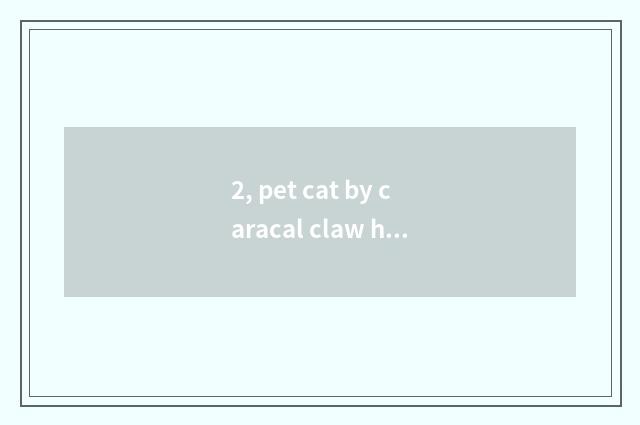 2, pet cat by caracal claw how to do?
