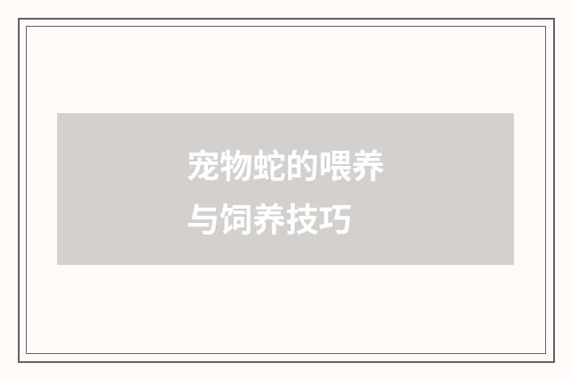 宠物蛇的喂养与饲养技巧