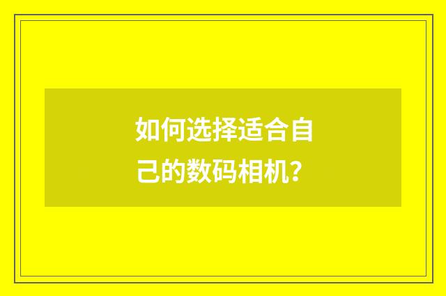 如何选择适合自己的数码相机？