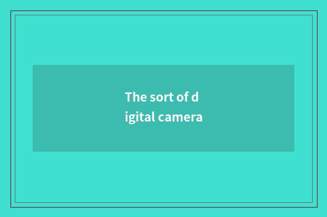 The sort of digital camera
