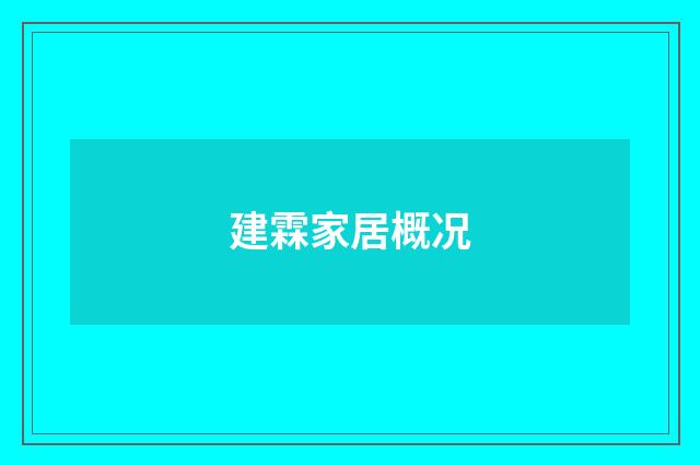 建霖家居概况