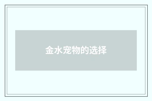 金水宠物的选择