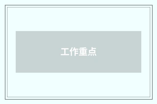 工作重点