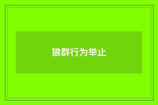 狼群行为举止