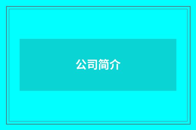 公司简介
