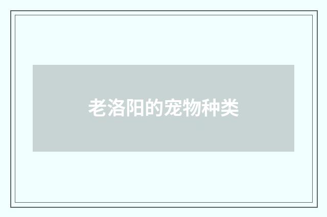 老洛阳的宠物种类