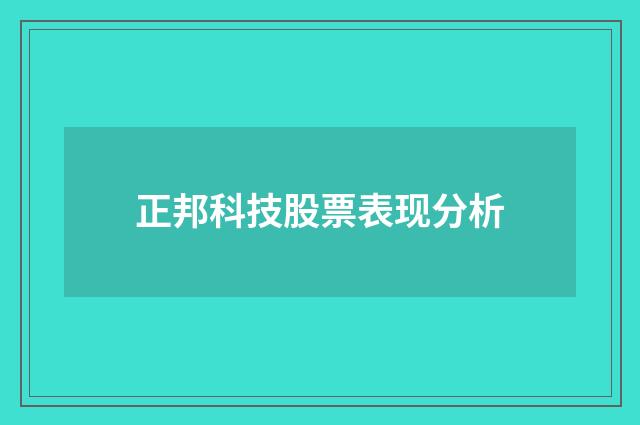 正邦科技股票表现分析