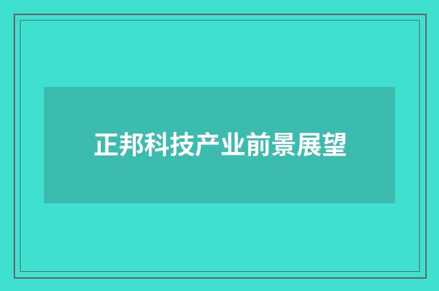 正邦科技产业前景展望