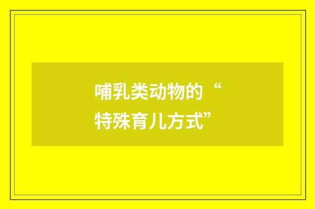 哺乳类动物的“特殊育儿方式”