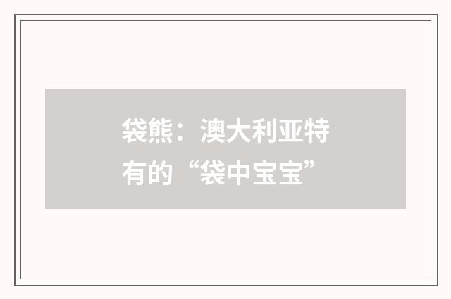 袋熊：澳大利亚特有的“袋中宝宝”