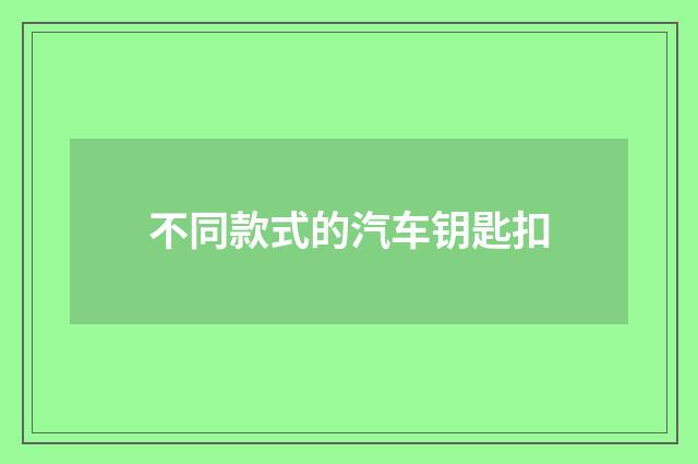 不同款式的汽车钥匙扣