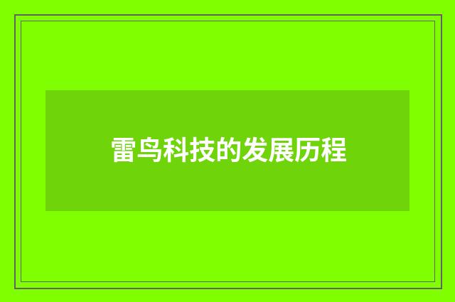 雷鸟科技的发展历程