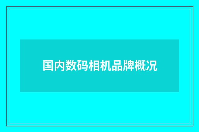 国内数码相机品牌概况