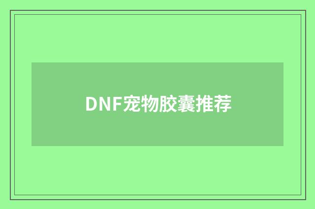 DNF宠物胶囊推荐