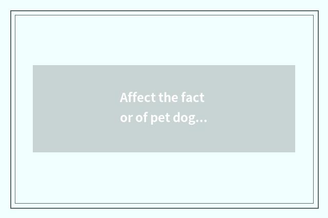 Affect the factor of pet dog price
