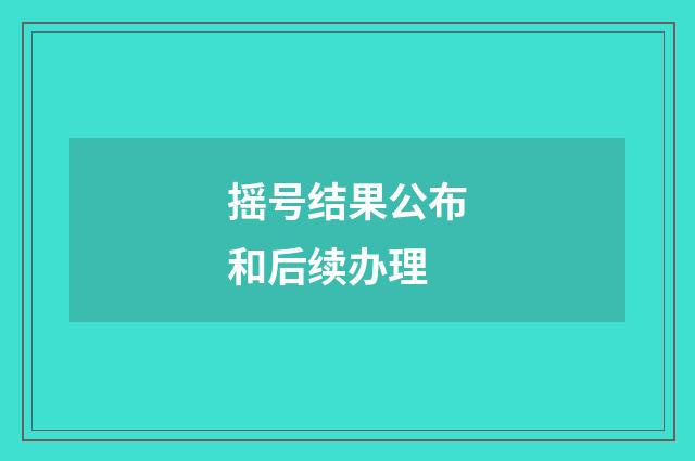 摇号结果公布和后续办理