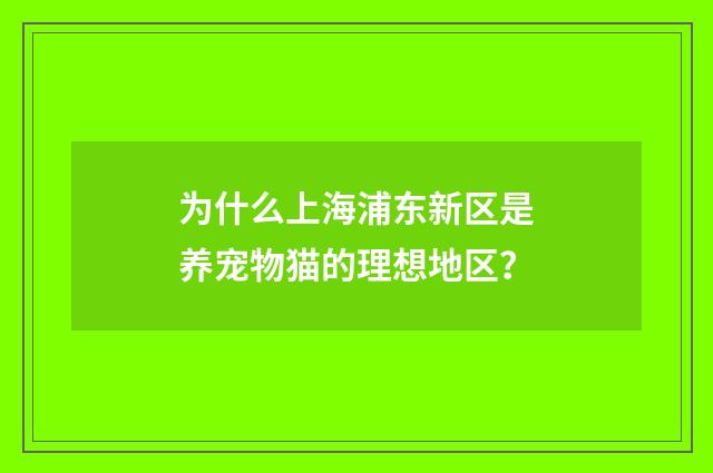 为什么上海浦东新区是养宠物猫的理想地区？