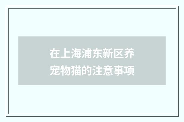 在上海浦东新区养宠物猫的注意事项