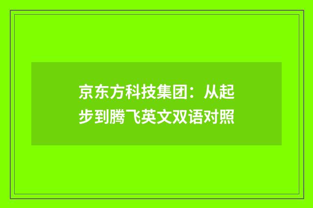 京东方科技集团：从起步到腾飞英文双语对照