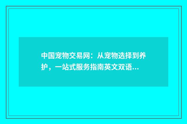中国宠物交易网:从宠物选择到养护,一站式服务指南英文双语对照