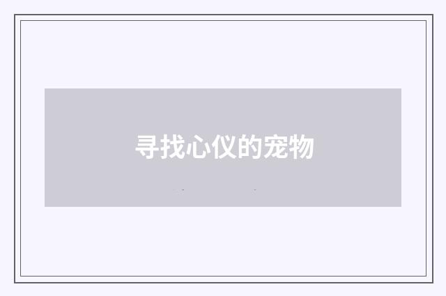 寻找心仪的宠物