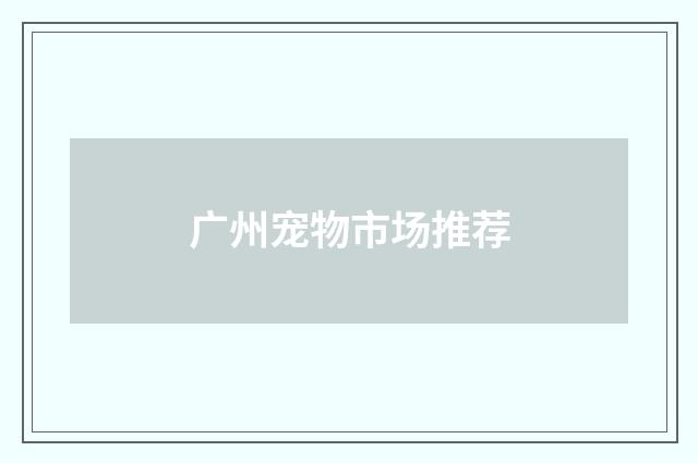 广州宠物市场推荐