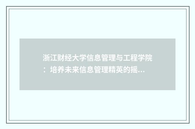浙江财经大学信息管理与工程学院：培养未来信息管理精英的摇篮英文双语对照