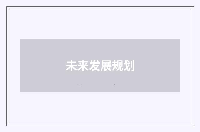 未来发展规划