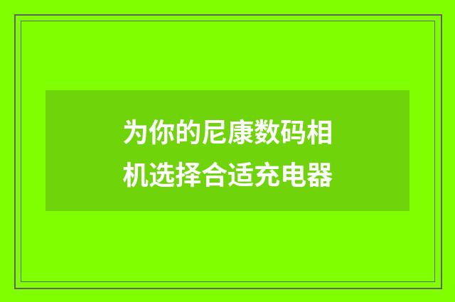 为你的尼康数码相机选择合适充电器