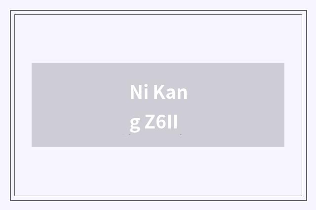 Ni Kang Z6II