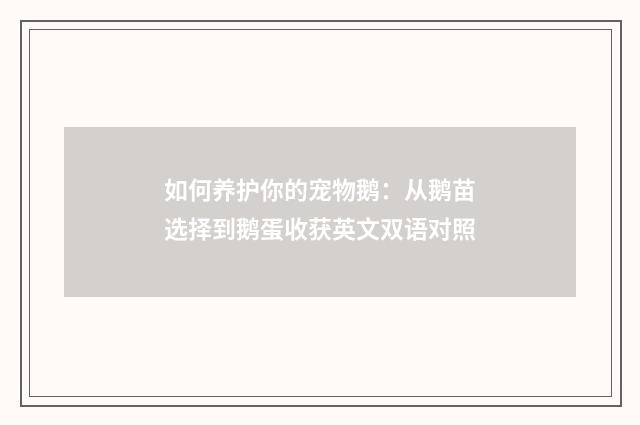 如何养护你的宠物鹅：从鹅苗选择到鹅蛋收获英文双语对照